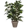 Fleur Plante Artificielle Ficus Natasja H40 cm - Mica Decorations