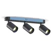 Calex Plafondlamp - 3-Lichts - Opbouwspot - Ovaal - Zwart - Goud