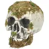 Boland - Schedel Swamp - Horror - Decoratie - Halloween - Spookhuis - ...