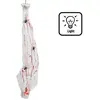 Boland - Decoratie Spinnencocon (165 cm) - Horror - Horror