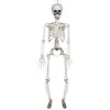 Boland - Decoratie Skelet (91 cm) - Horror;Piraten - Horror- Piraten