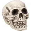 Boland 71988   Crâne Bighead Accessoire d'Halloween
