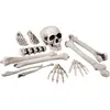 Boland - 12 stuks Doodshoofd en beenderen (23 cm) - Horror - Horror