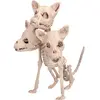 Boland - Skelet Cerberus - Horror - Horror