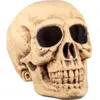 Boland - Schedel Masterbrain - Piraten;Horror - Piraten- Horror
