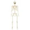 Boland - Decoratie Skelet skinny - Horror - Piraten - Spookhuis - Tric...