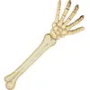 Boland 74556 - Bras squelette - Décoration - Environ 46 cm