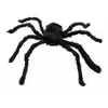 COTILLONS D'ALSACE ARAIGNEE VELUE NOIRE 70CM