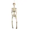 Boland SQUELETTE 90CM