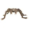 Boland 23854 - Araignée Poilu Géant, marron
