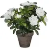 Azalea plante artificielle blanc en pot H27