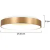 Plafondlamp Steinhauer Ringlede - Goud