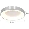 Plafondlamp Steinhauer Ringlede - Zilver