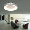 Steinhauer - Plafondlamp Ringlede Ø 30 cm 3086 zilver