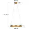 Ringlux Hanglamp LED d:60cm goud 2700K 4000lm - Modern - Steinhauer