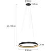 Ringlux Hanglamp LED d:60cm zwart 2700K 4000lm - Modern - Steinhauer
