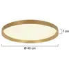 Flady Plafondlamp d:40cm LED 2700k goud dimbaar - Modern - Steinhauer