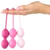 FeelzToys Kit d'Entrainement Muscles Pelviens FemmeFit Advanced