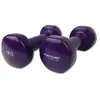 Tunturi Vinyle Idiot 1kg 2 Unités 1 kg