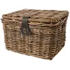 Fastrider Panier Sera Rattan Lid 17l