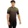 Shimano Maillot à Manches Courtes Evolve Avventura