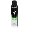 Rexona Dry Quantum - Mannen Deodorant - Spuitbus - 150 ml