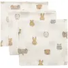 Jollein Hydrofiel Monddoekje 31x31cm Jollies (3pack)