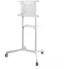 Neomounts Newstar Support De Sol Mobile Ns-m1250white 70´´