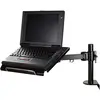 Neomounts NOTEBOOK-D100 Support de Bureau pour Ordinateurs Portables Noir