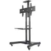 NEWSTAR NeoMounts NM-M1700 - Chariot pour Écran LCD - Noir - 32"-75"