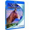 Dinosaure (2000) (Disney) / Dinosaur (Blu Ray)