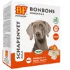 Biofood Schapenvet Maxi Bonbons Zalm 40 ST
