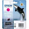 Epson Cartouche d'encre d'origine C13T76034N10 magenta