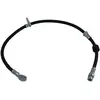 Remslang BBH5573 Kavo parts