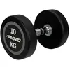 Avento Dumbbell - Halter 10 kg - Zwart/Staal