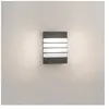 Philips 172739316 Racoon Applique Murale Extérieure LED Intégrée
