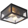 QAZQA charlois - Design Plafondlamp voor buiten - 2 lichts - L 24 cm -...