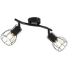QAZQA botu - Moderne Plafondlamp - 2 lichts - L 47 cm - Zwart - Woonka...