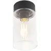 QAZQA jarra - Moderne Plafondlamp voor buiten - 1 lichts - Ø 11.6 cm -...