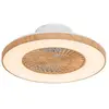 QAZQA climo - Landelijke LED Dimbare Plafondventilator met lamp met Di...