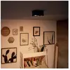 Philips Plafonnier Box 2 - Noir