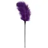 EasyToys Fouet à Plumes Violet