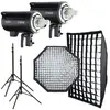 Godox DP400III-C Dual kit flash studio