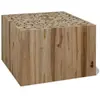 vidaXL Table basse Teck authentique 50 x 50 x 35 cm