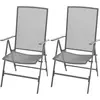 vidaXL Chaises empilables de jardin 2 pcs Acier Gris