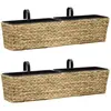 vidaXL Jardinières 2 pcs Jacinthe d'eau