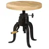 vidaXL Table d'appoint 45x (45-62) cm Bois de manguier massif et fonte