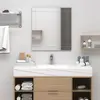 vidaXL vidaXL Miroir mural 100x60 cm Verre