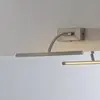 Freelight - Schilderij verlichting Matisse DIM 34 cm mat chroom