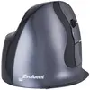 Bakker & Elkhuizen Evoluent D Draadloos Large Rechtshandig - Ergonomische Muis